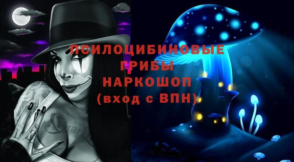 гидропоника Богданович