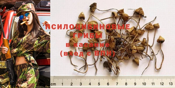 МДПВ Богородицк