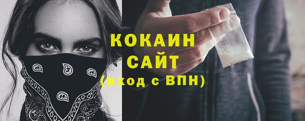 гидропоника Богданович