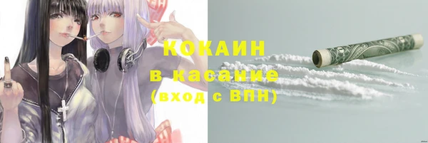 МДПВ Богородицк