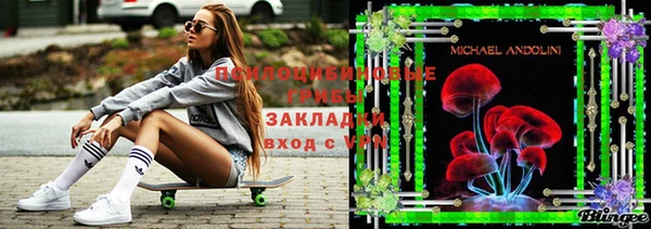МДПВ Богородицк