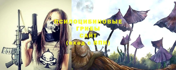 МДПВ Богородицк