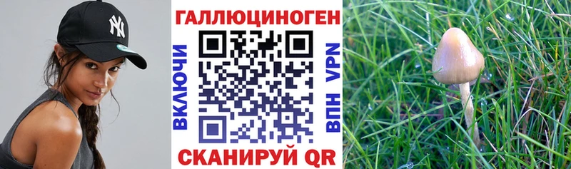 Купить  Рыльск  Псилоцибиновые грибы ЛСД 